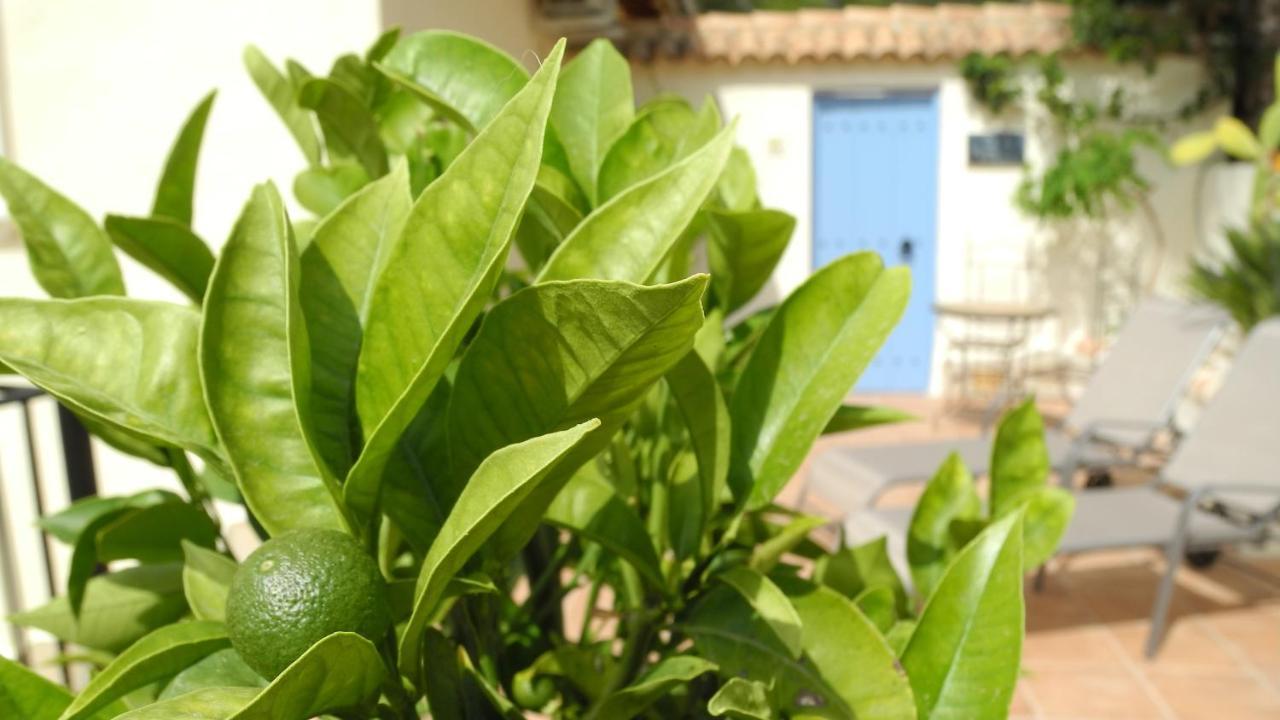 Casa Romero Lliber Ngoại thất bức ảnh